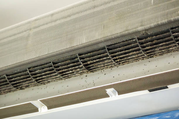 Best Ductwork Cleaning Services  in Ridgeway, AK